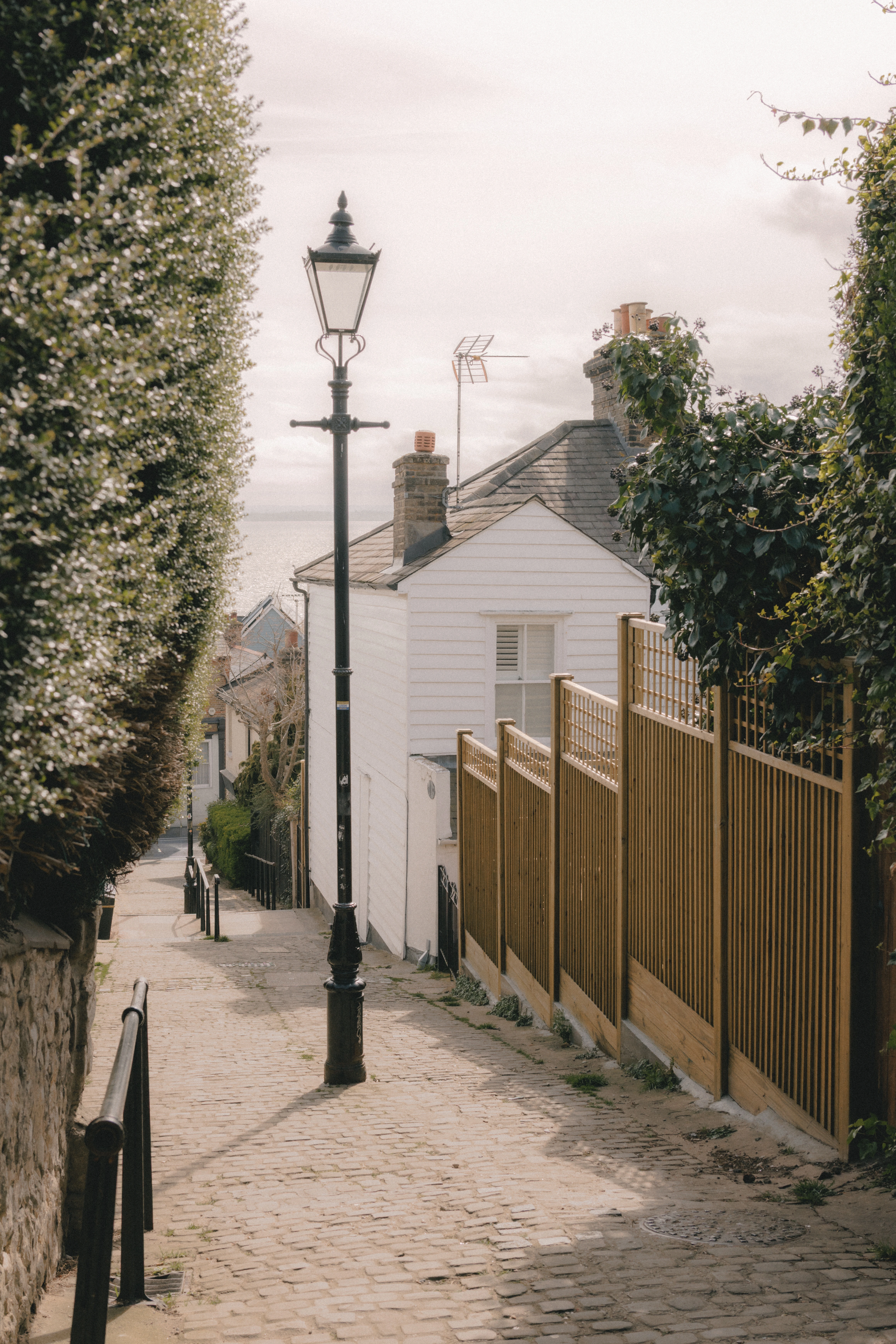 Leigh Steps